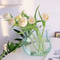 transparent exsuryse vase table design hydroponics plant vase nordic style acrylic art desk decoration aesthetic vase decoration