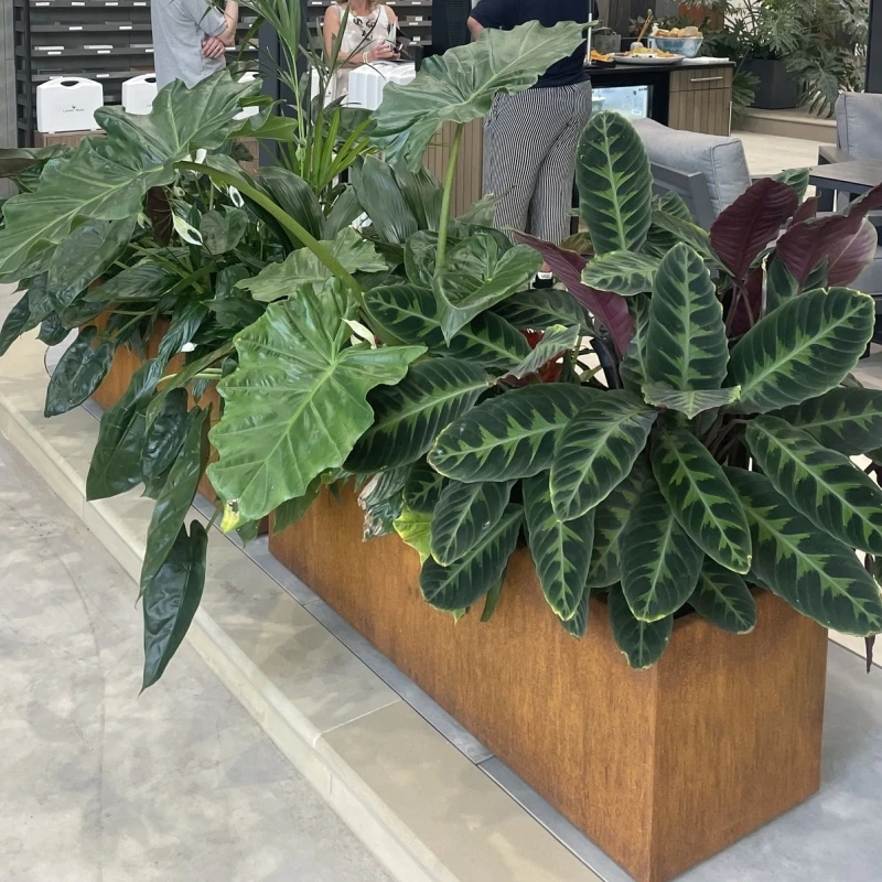 decorative Corten Steel metal flower large Rectangular Tree planter pots