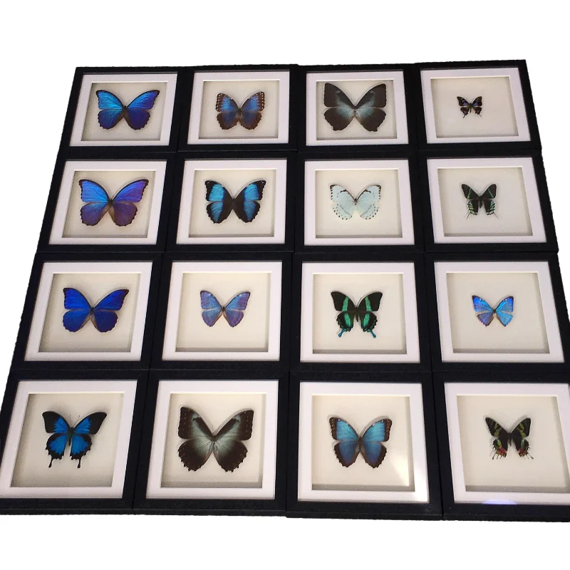 Настоящий образец бабочки рамка украшение для дома праздничный подарок гостиной