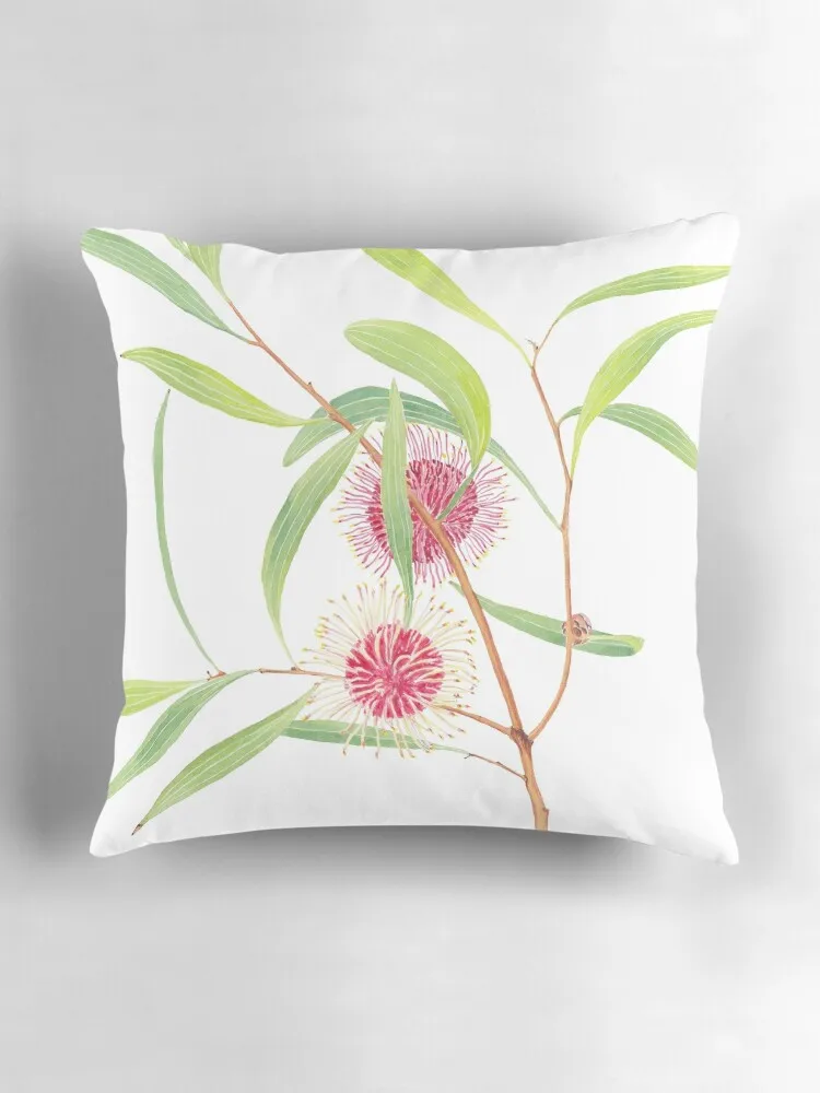 Pincushion Hakea (Hakea laurina) акварель Австралийский цветок декоративная подушка для дивана