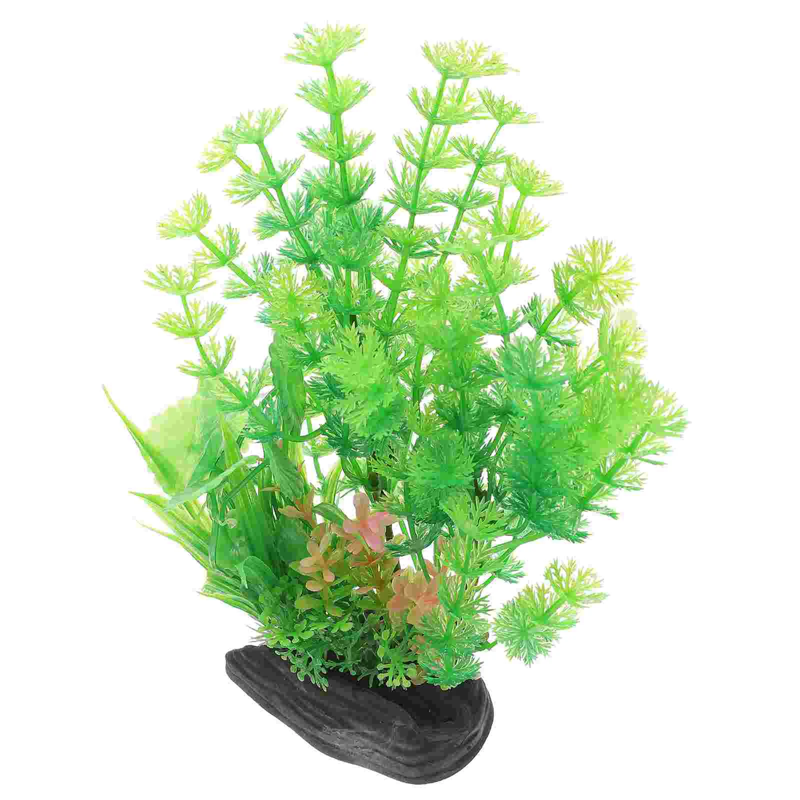 

Freshwater Aquarium Plants Delicate Aquarium Grass Aquarium Household Aquarium