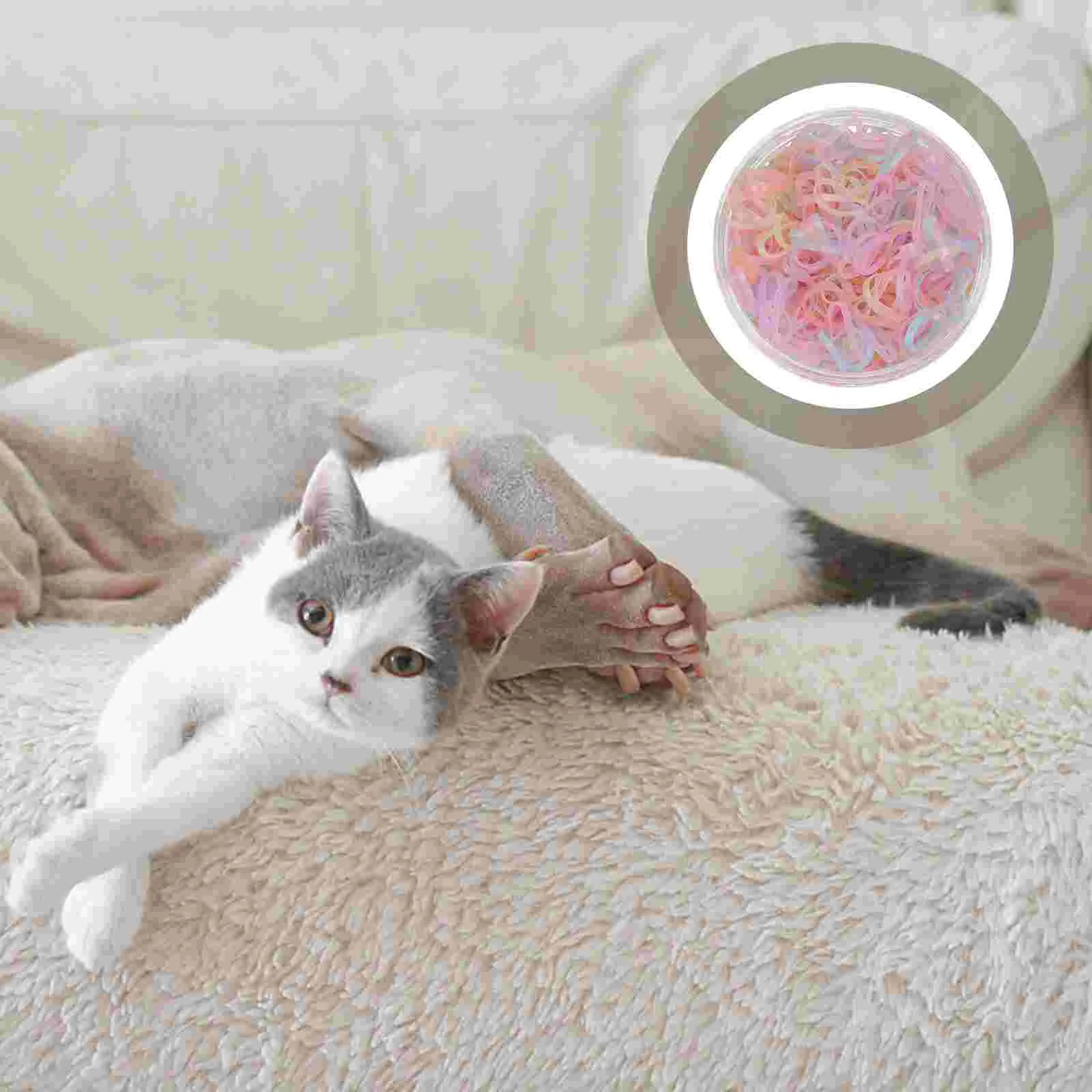 

1 Box Rubber Bands Durable Cat Dog Hair Ties Pet Headress for Decor (Colorful)