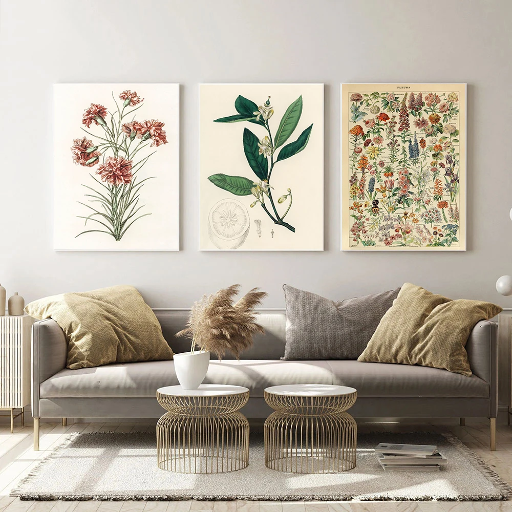 

Plant Flower Study Retro Poster Botanical Prints Canvas Pictures Vintage Home Living Room Decor Aesthetic Art Wall Painting