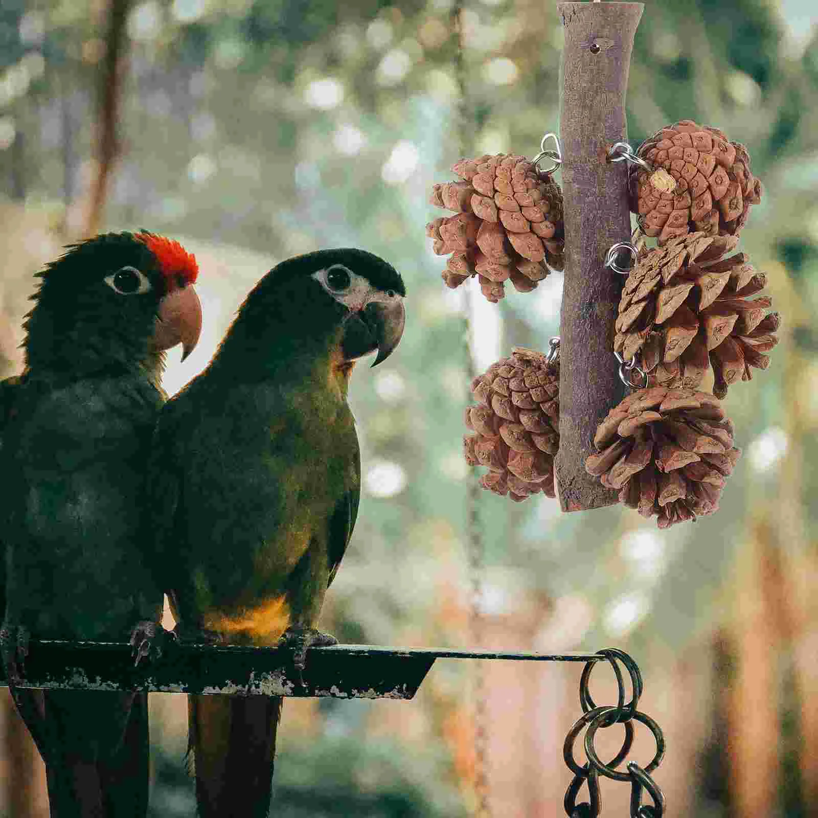 Жевательная игрушка для птиц натуральные сосновые шишки подвесная пищи