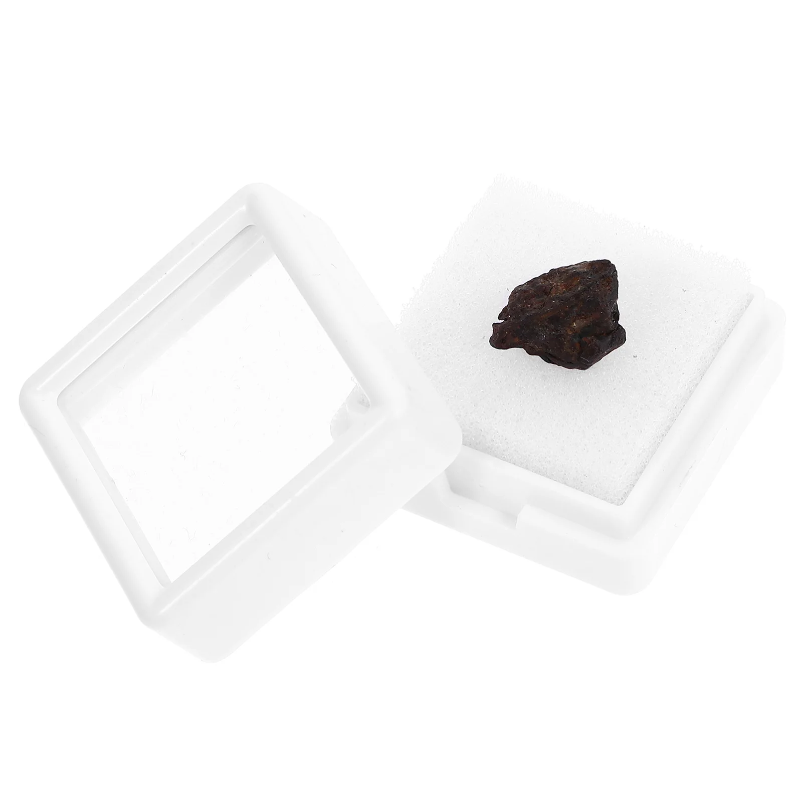 

Lithosiderite Adornment Meteorite Ornament Classroom Teaching Specimen