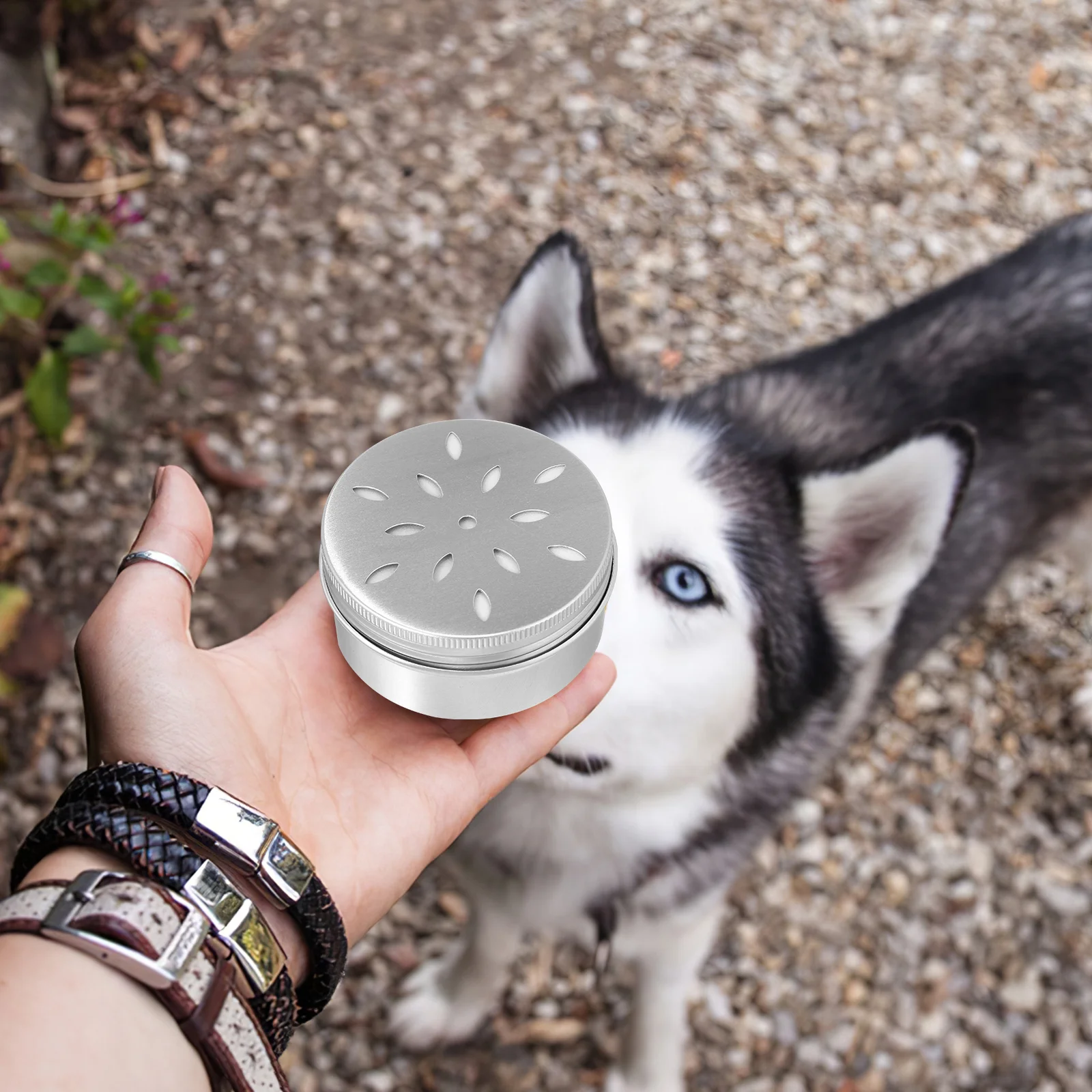 Дрессировка собак + мягкий магнитный клейкий держатель небольшие контейнеры