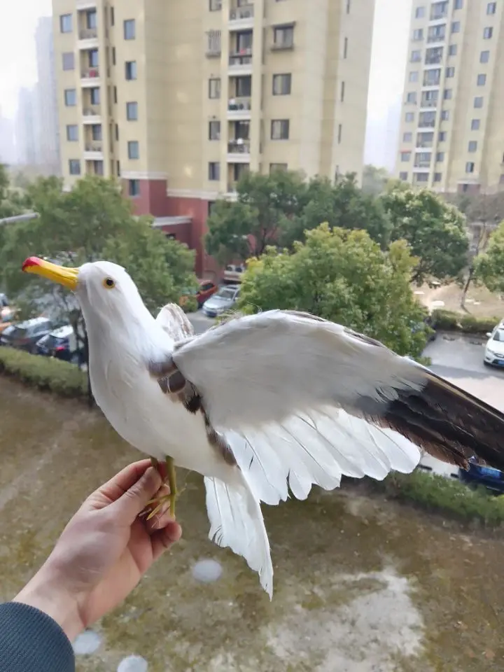 Модель птицы в виде голубя экологичные украшения из смолы поделки садоводство