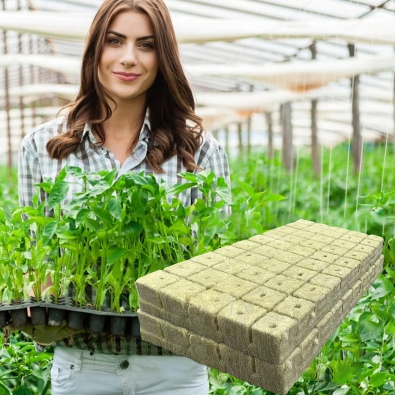 Y166 50 шт. кубики для выращивания из минеральной ваты черенков клонирование