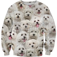 new funny dog sweatshirt you_will_have_a_bunch_of_malteses 3d printed sweatshirts men for women pullovers unisex tops