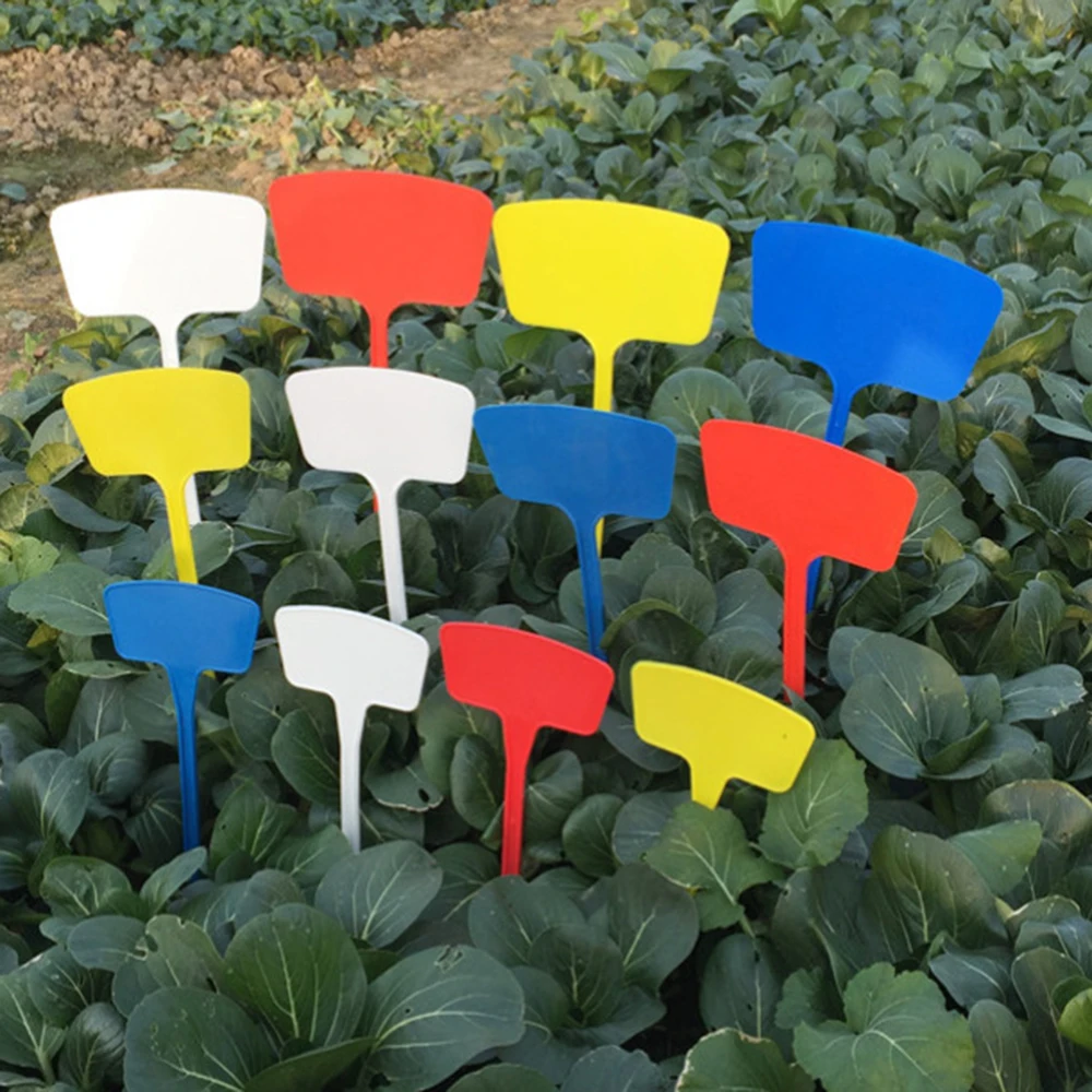 Large T-Type Plant Label 10 pcsMarkers Waterproof PVC Garden Plants Classification Sorting Sign Tags Plant Nursery Markers Label