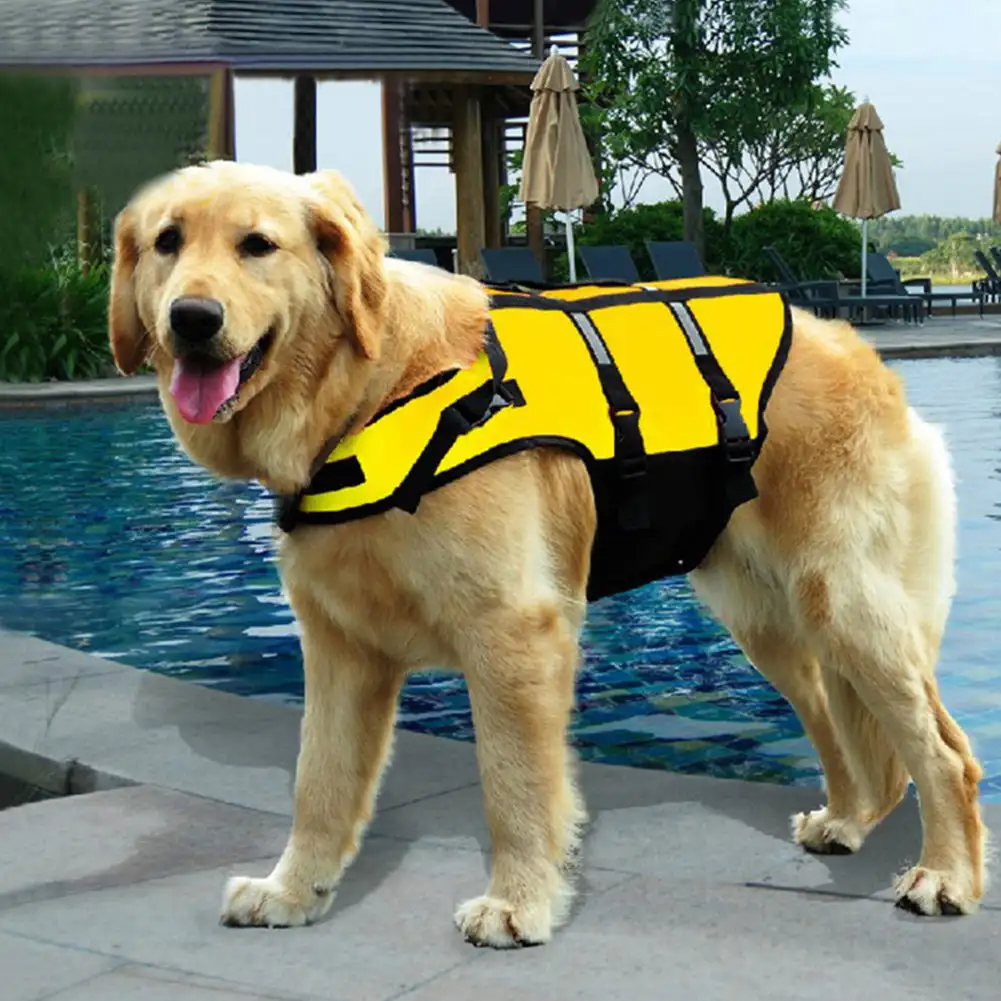 

Женский жилет для собак, летняя спасательная жилетка для домашних питомцев, одежда для плавания для собак, спасательный костюм для питомцев...