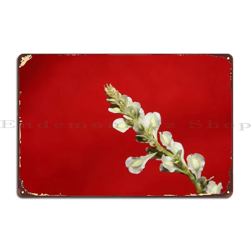 

Цветущая макро металлическая табличка для фотографий Fallopia