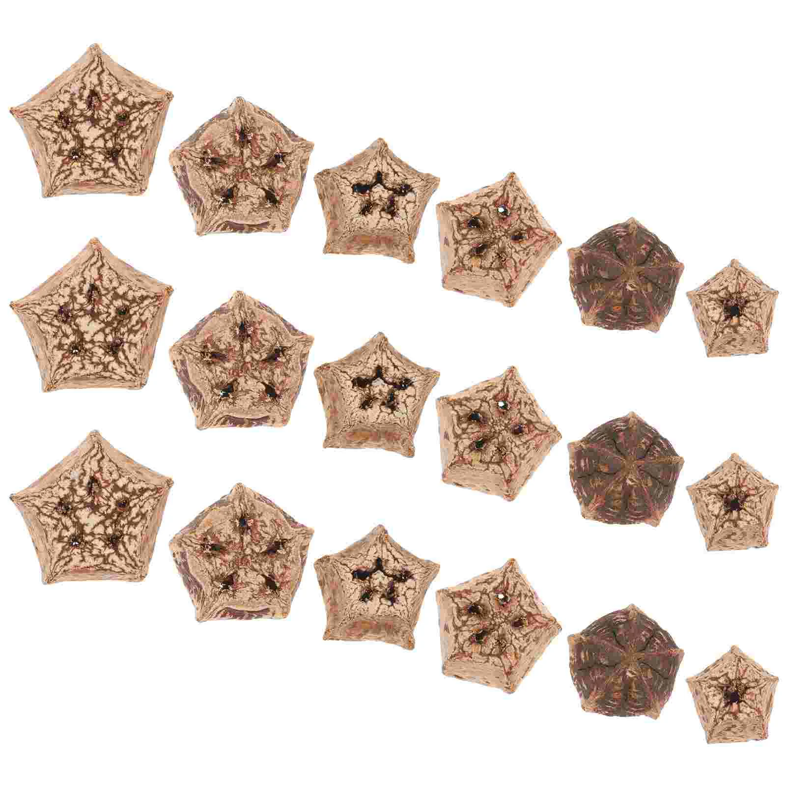 

12pcs Natural Biting Foraging Bird Toy Foraging Shredding Toy for Birds