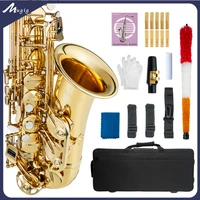 professional sax naomi saxophone eb alto saxophone brass gold lacquered e flat sax 802 f key woodwind instrument w accessories