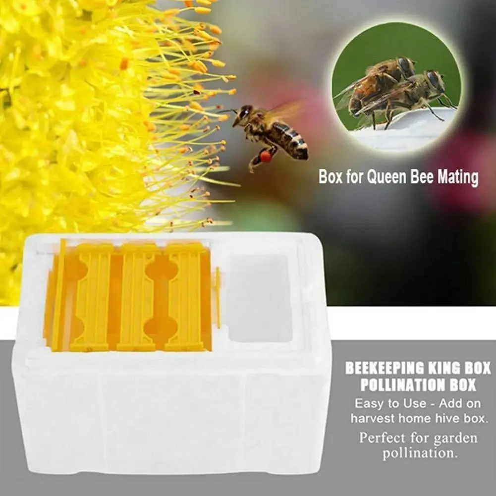 

Beekeeping King Box Pollinator Beekeeping Pollination Box Foam Frames Beekeeping Equipment Kit Harvest Bee Hive Box For Garden