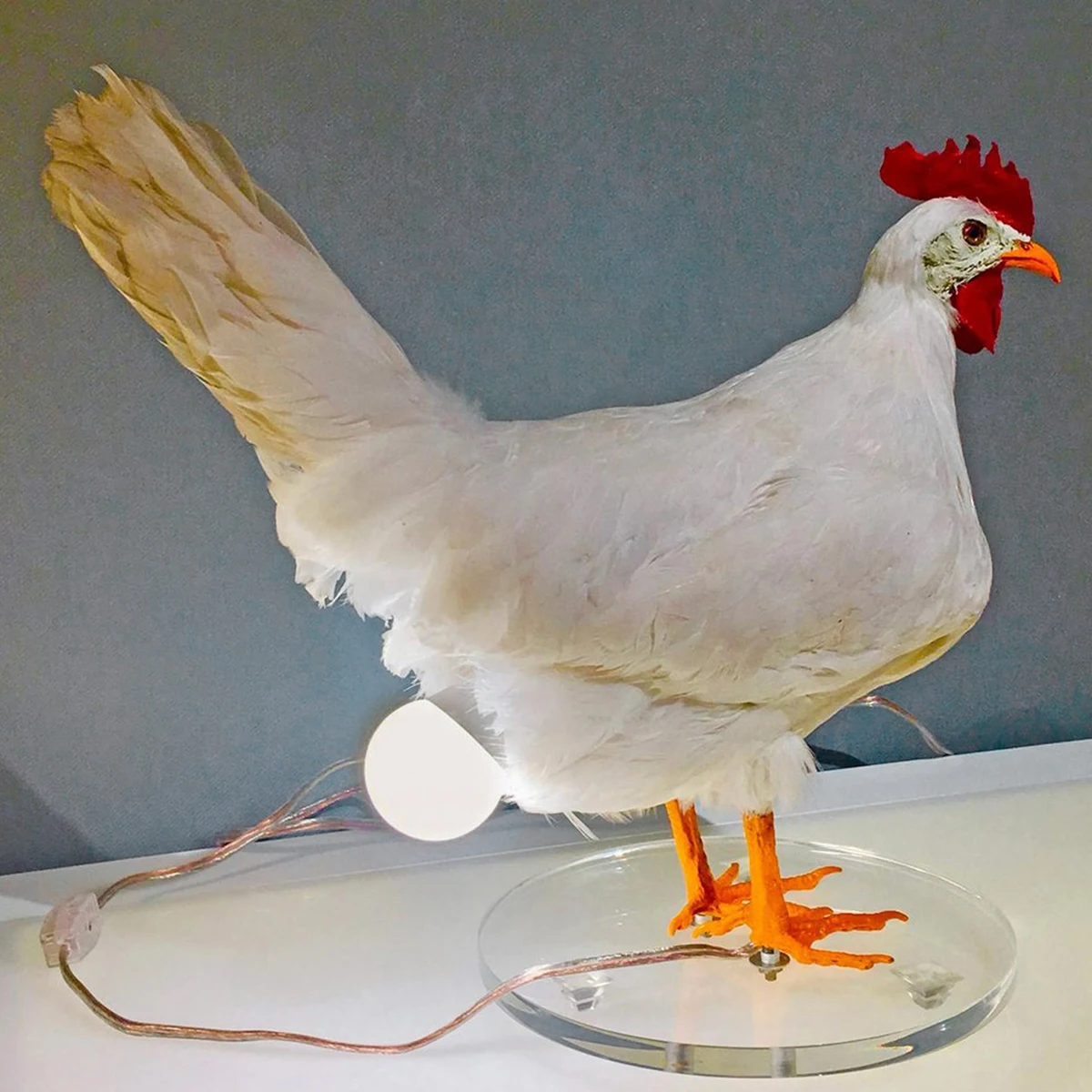

Taxidermy Chicken Lamp Decorative Night Lights For Room,simulated Animal Chicken Eggs Lamp Party Carnival Home Decoration