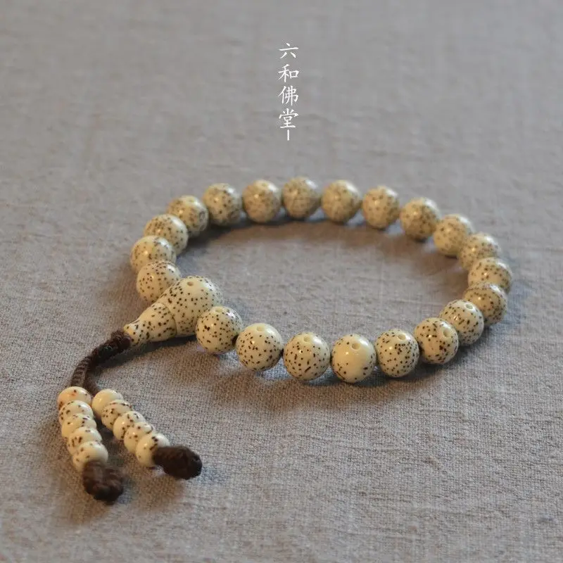 

SNQP Natural Hainan Seed Star Moon Bodhi Single Circle 18 21 Hand String Buddha Beads January Garden Zi Nian For