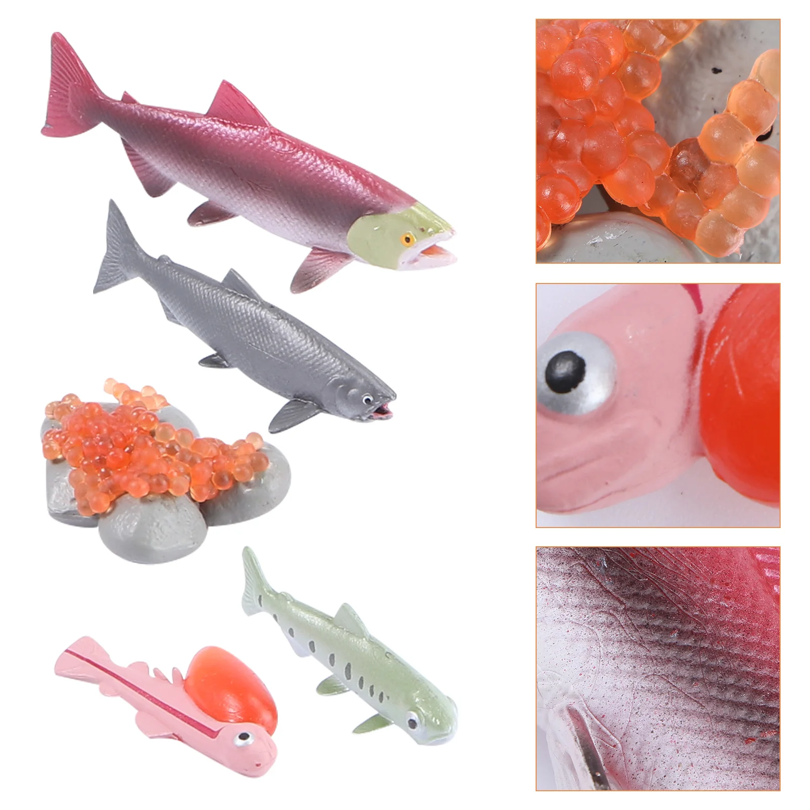 

4 Pcs Growth Cycle Model Kid Toy Salmon Crafts Earthworm Vivid Figure Cognitive Abs Child Aquatic Creatures Kids Observing Fish