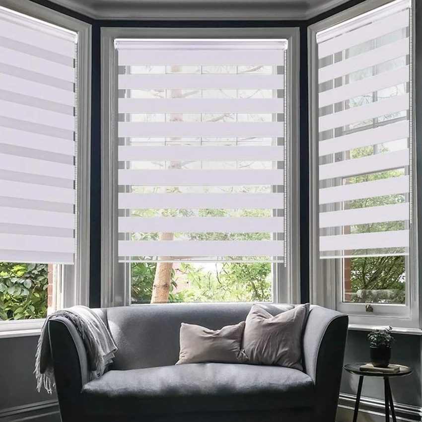 Window Shades Blackout Zebra Blinds