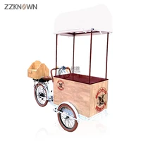 electric cargo bike refrigerator ice cream street mobile vending food cart adult ticycle with solar panel