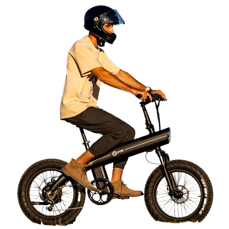 KIXIN Задний мотор-концентратор E Bike Литий-ионный аккумулятор Электрический