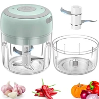 100250ml electric garlic masher machine usb charging blenders mini chopper vegetable meat ginger masher kitchen accessories