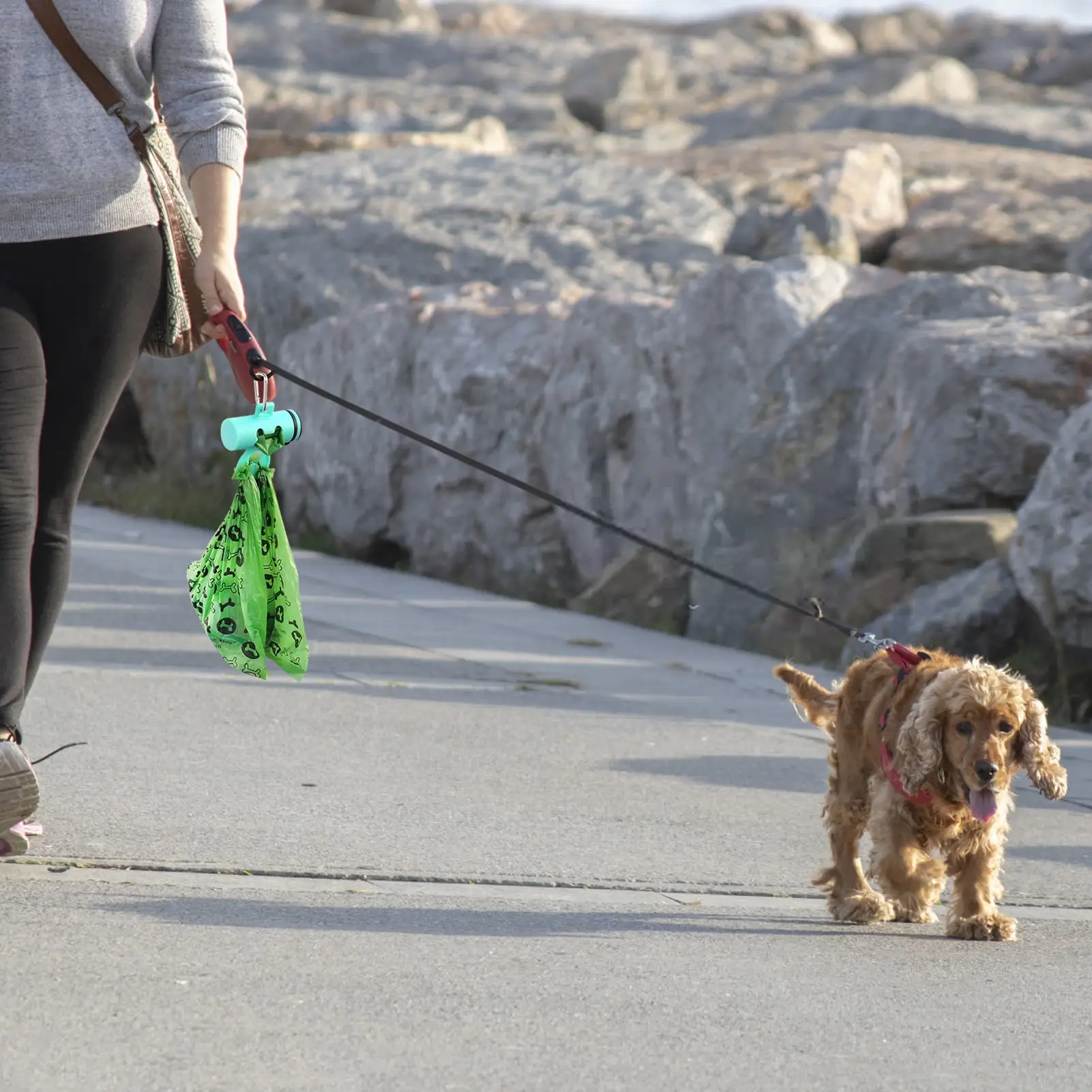 

Диспенсер для мусорных пакетов для домашних животных, дозатор для мусорных пакетов для собачьих собак, биоразлагаемый портативный контейн...