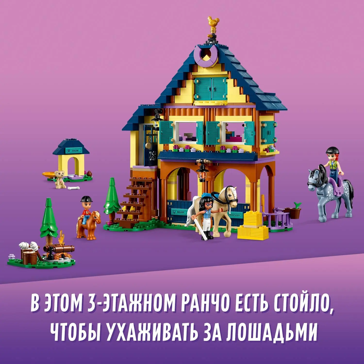Конструктор LEGO Friends 41683 Лесной клуб верховой езды | Игрушки и хобби