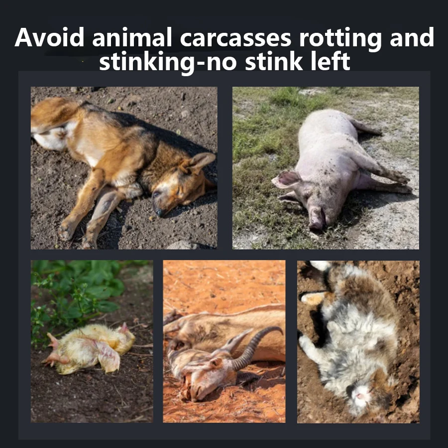 Переноска для домашних животных. Эпидемическая станция собак и кошек свиней овцы