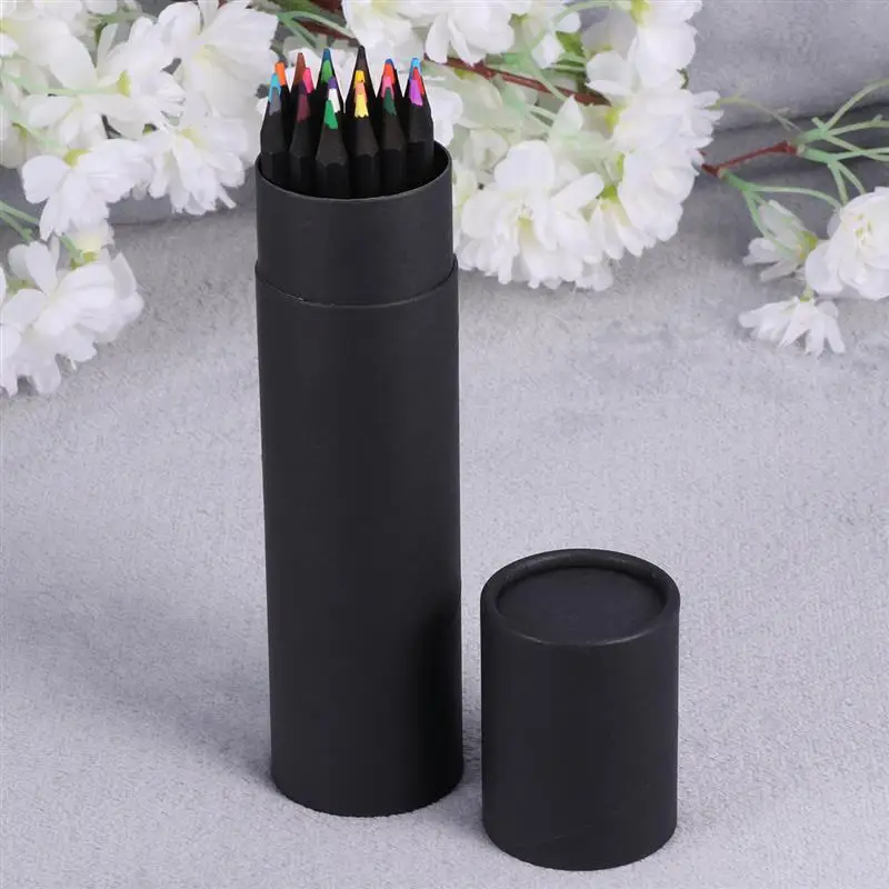 

1 Set 24 Color Pencils Stationery Black Pencils Art Painting Pencil Set for Adults and Kids with Black Storage Box