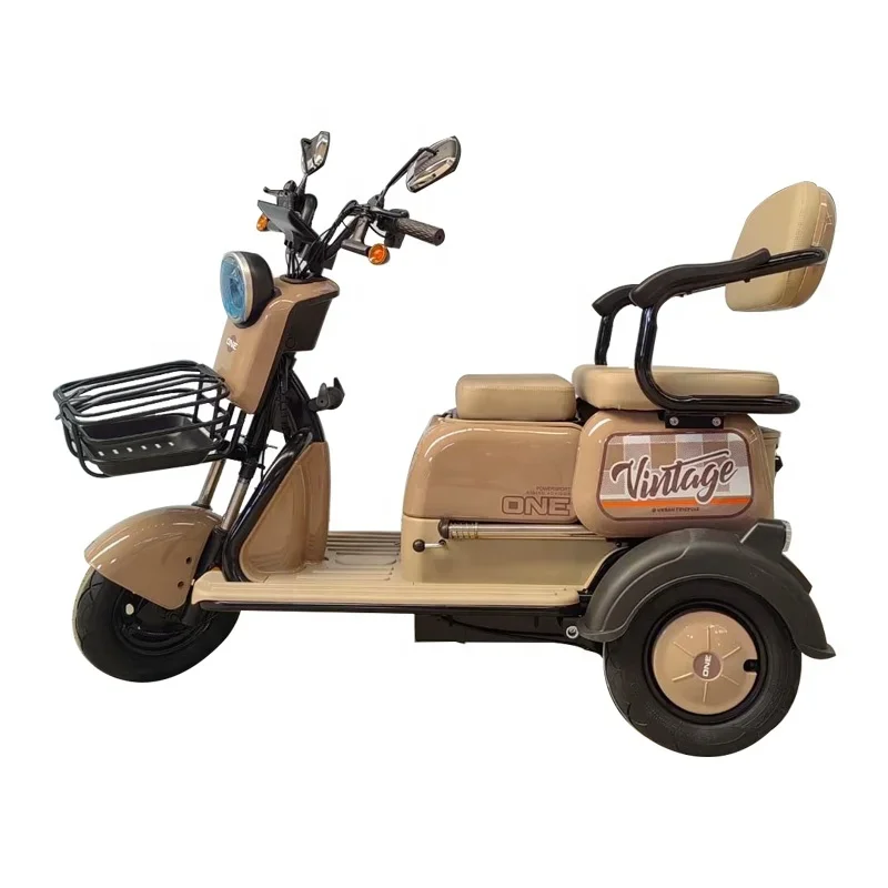 Новинка от производителя Двухместный трехколесный электрический мотоцикл 48 в 600