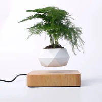 hot sale levitating air bonsai pot rotation planters magnetic levitation suspension flower floating pot potted plant desk decor