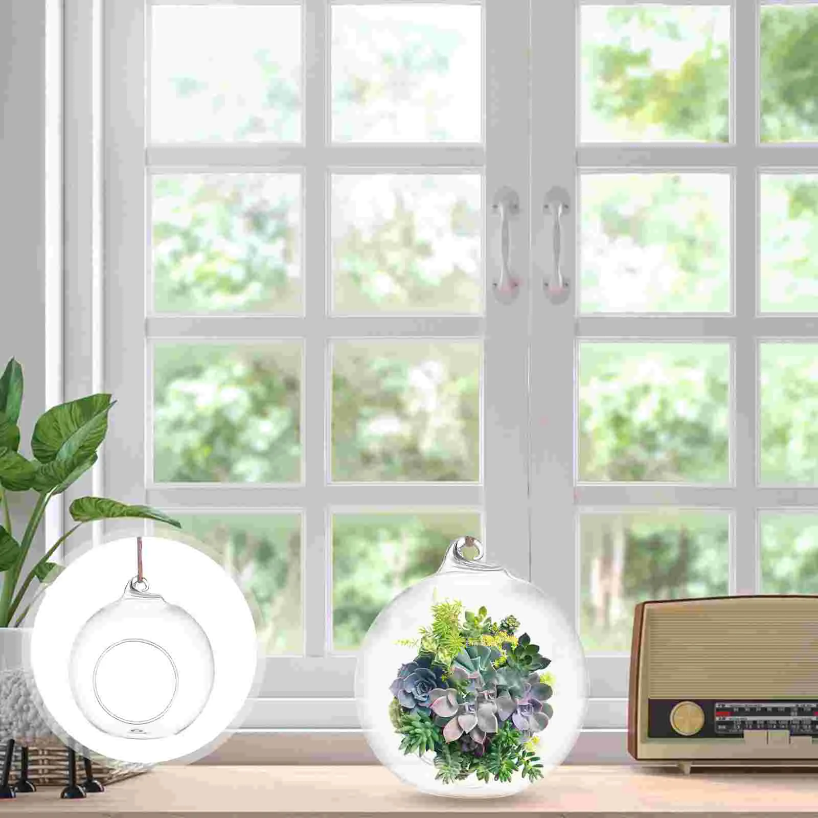 

Hanging Glass Terrarium Vases: 6pcs Glass Tealight Holders Hanging Vase Holder for Air Succulents Moss Miniature Garden
