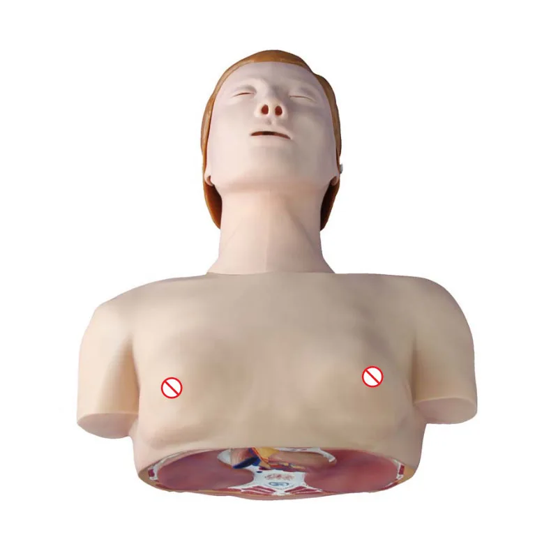 

Медицинские Обучающие куклы, манекены для оказания первой помощи, полутело, Базовая тренировочная модель