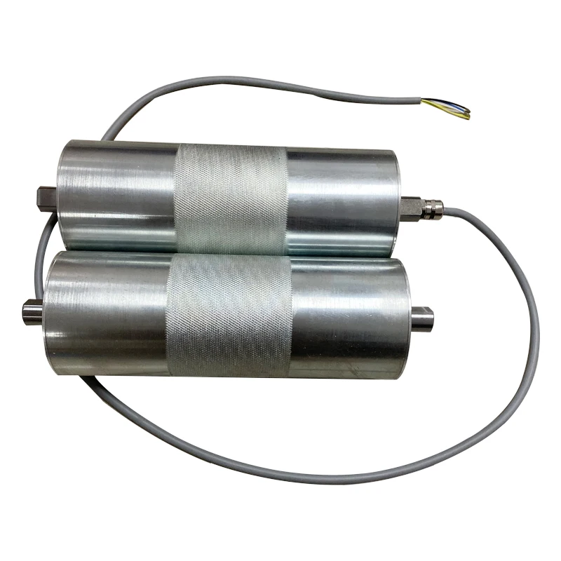 

42/50/60/80/113/138/165mm AC/DC drum gear motor roller