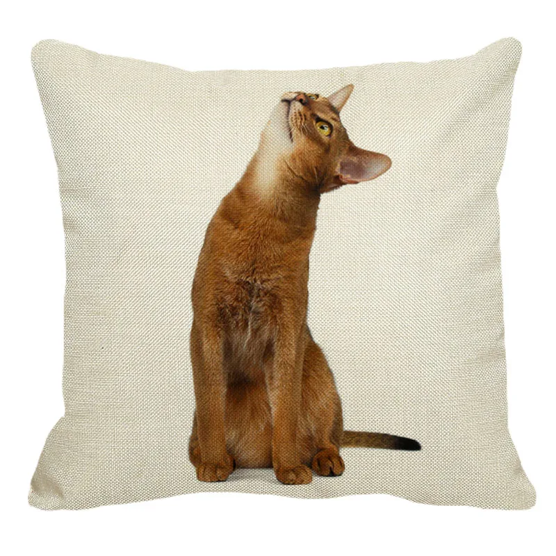 

45cmx45m cute pet Abyssinian cat new cotton comfort cushion set home sofa decoration hug pillowcase