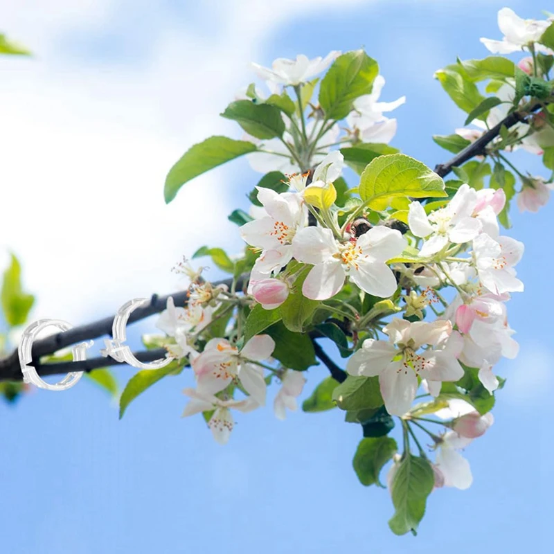 Фиксированные пластиковые зажимы для растений 300 шт. вьющихся прозрачные садовые