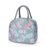 amiqi thermal insulated bag high capcity lunch box for women portable fridge cooler handbags waterproof kawaii food bag for work