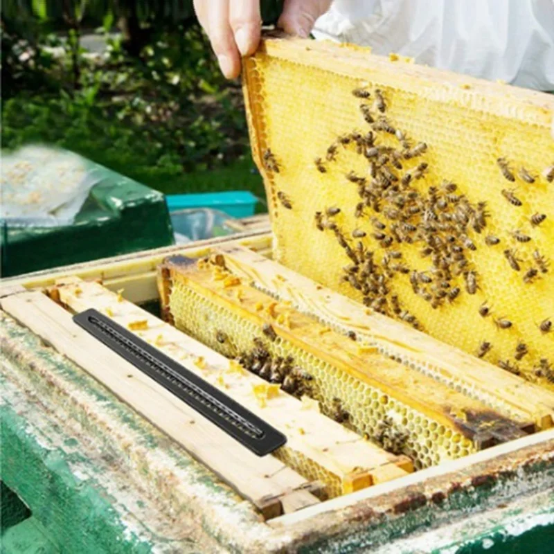 Черные пластиковые ловушки для жуков, 10 шт., сельскохозяйственные инструменты для пчеловодства, маленький улей, жук, бластер, жуки, Ловушки для клещей, товары для борьбы с вредителями (art.: 3920bf554f8e6) - 3920bf554f8e6