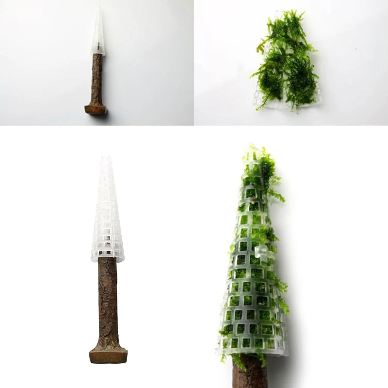 

Держатель для аквариума, Моха, растений для самостоятельного выращивания живых растений, мини-деревьев, креветок, аксессуары для аквариума