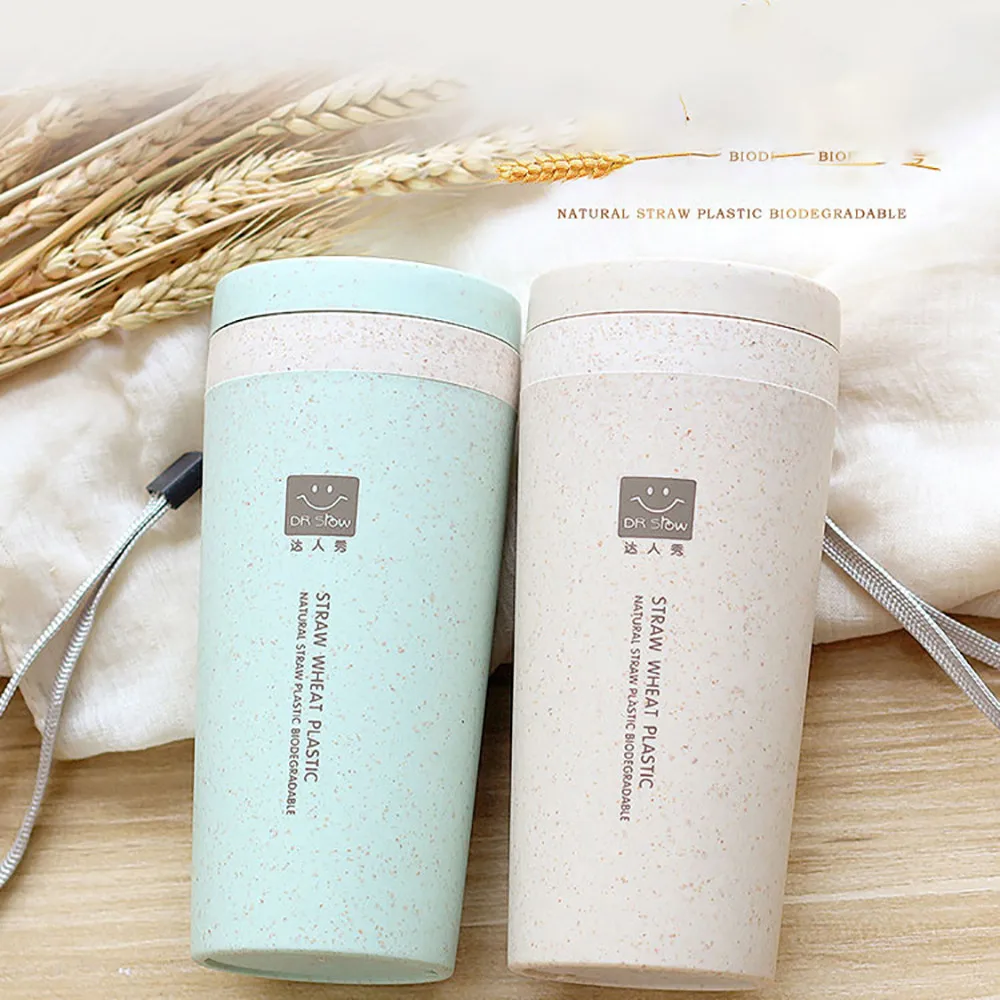 

1PC 300ML Wheat Straw Double Insulated Gift Mug Tumbler with Lid Eco-friendly Travel Mug Coffee Winter Thermos Cup