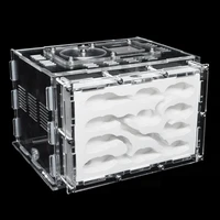 diy acrylic ant farm gypsum ecological ant house for pet anthill ant nest workshop with feeding area insect villa castle