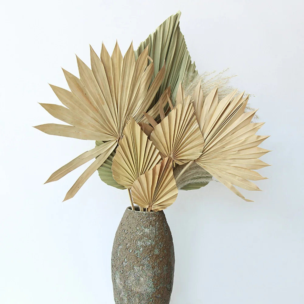 NEW 1PC Mini Palm Fan Leaf Dried Flower Palm Leaves Pampas Grasses Branches Diy Wedding Decorations Home Decor Craft