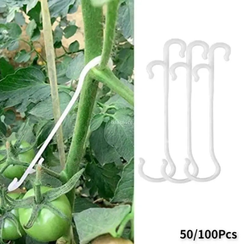 

100PCS J Shaped Fruit Cherry Tomato Ear Hook Garden Vegetable Plant Grape Support Vines Fastener Clips Trellis Fixed Buckle Hook