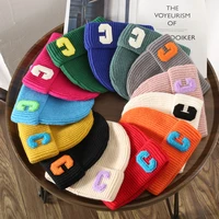 embroidery mens cap letter hats for women outdoor large c man hat cold proof wool womens caps male apparel accessories