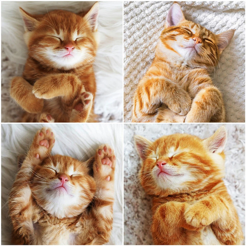 

Пейзажная серия, вышивка крестиком 14 карат, металлическая Аида, Экологичная хлопковая нить, вышивка, украшение для дома, желтые кошки