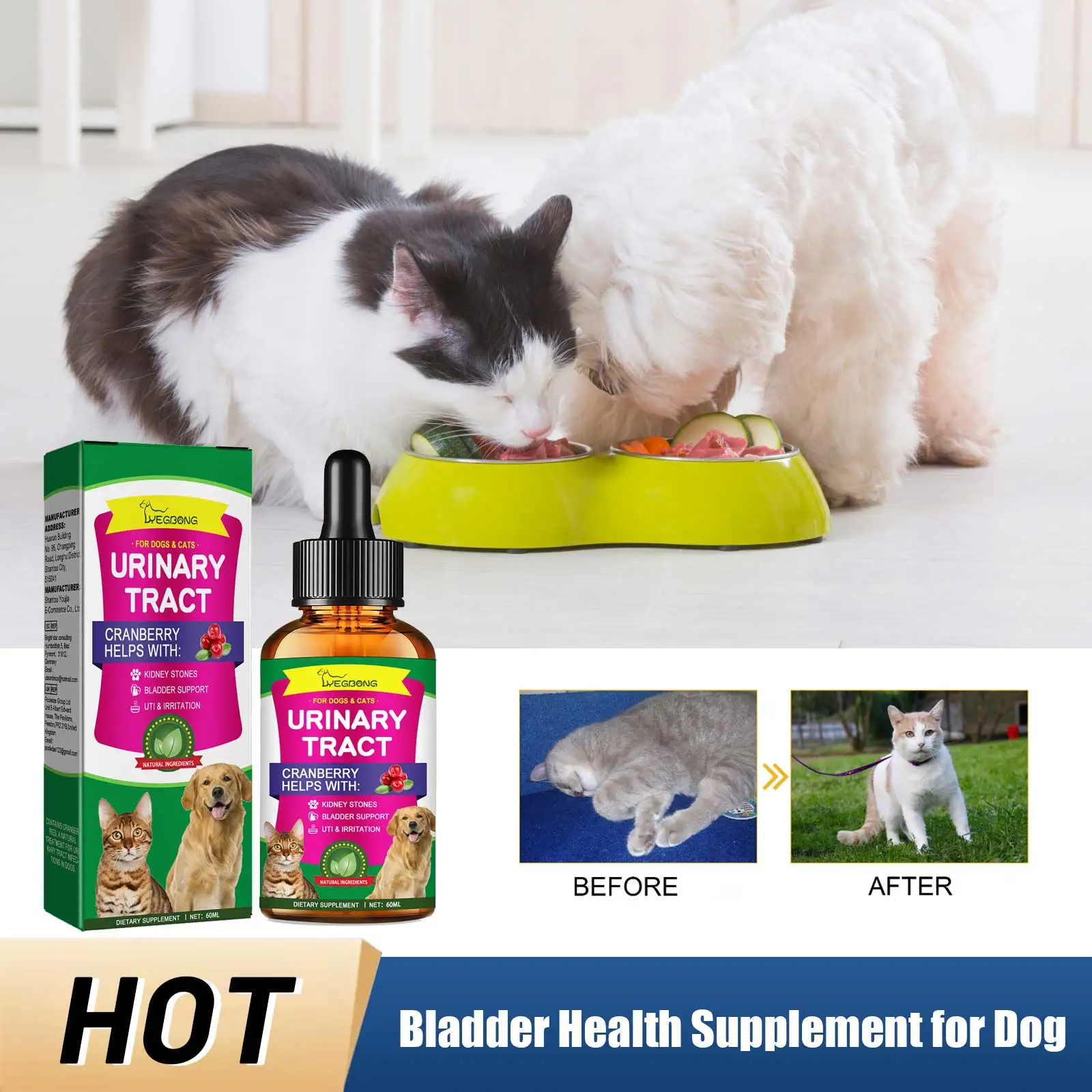 

Bladder Health Supplement for Dog Urinary Tract Infection Treatment Pain Relief Maintain Normal Bladder Control Pet Health Drops