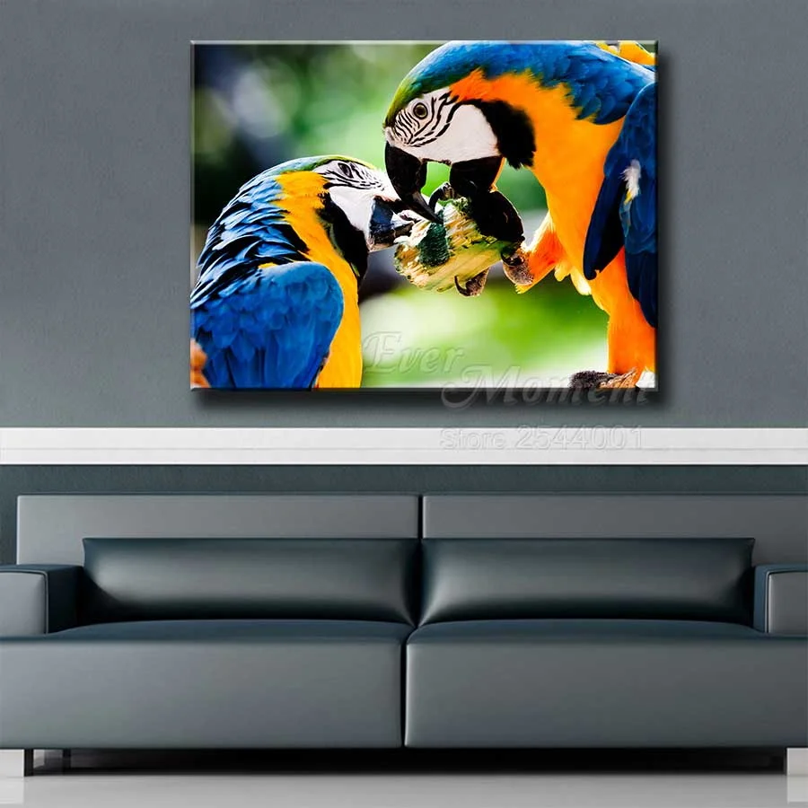 Алмазная картина Ever Moment попугай 5D вышивка Mosic полная квадратная дрель с алмазным