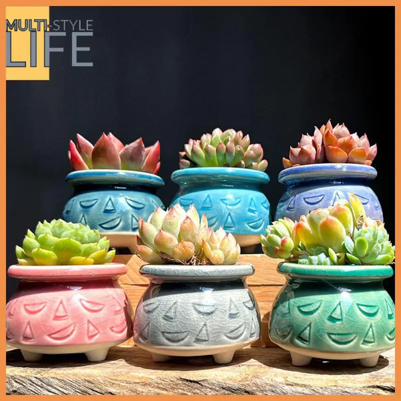 

Cat Claw Flower Pot Draining Hole Ceramic Flowerpot Meat Flower Pot Ceramics Breathable Pottery Basin Flower Decorative Bonsai