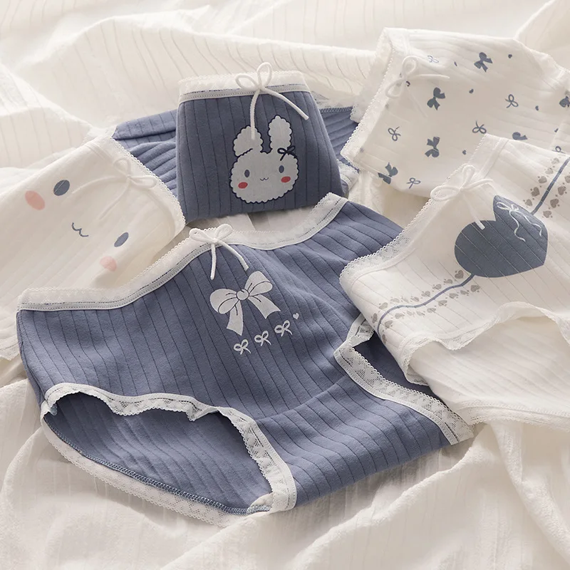 

5Pcs/Set Women’s Underpants Cotton Panty Girl Cartoon Cute Briefs Female Underwear Comfortable Women Lingerie Sexy Panties M-XL